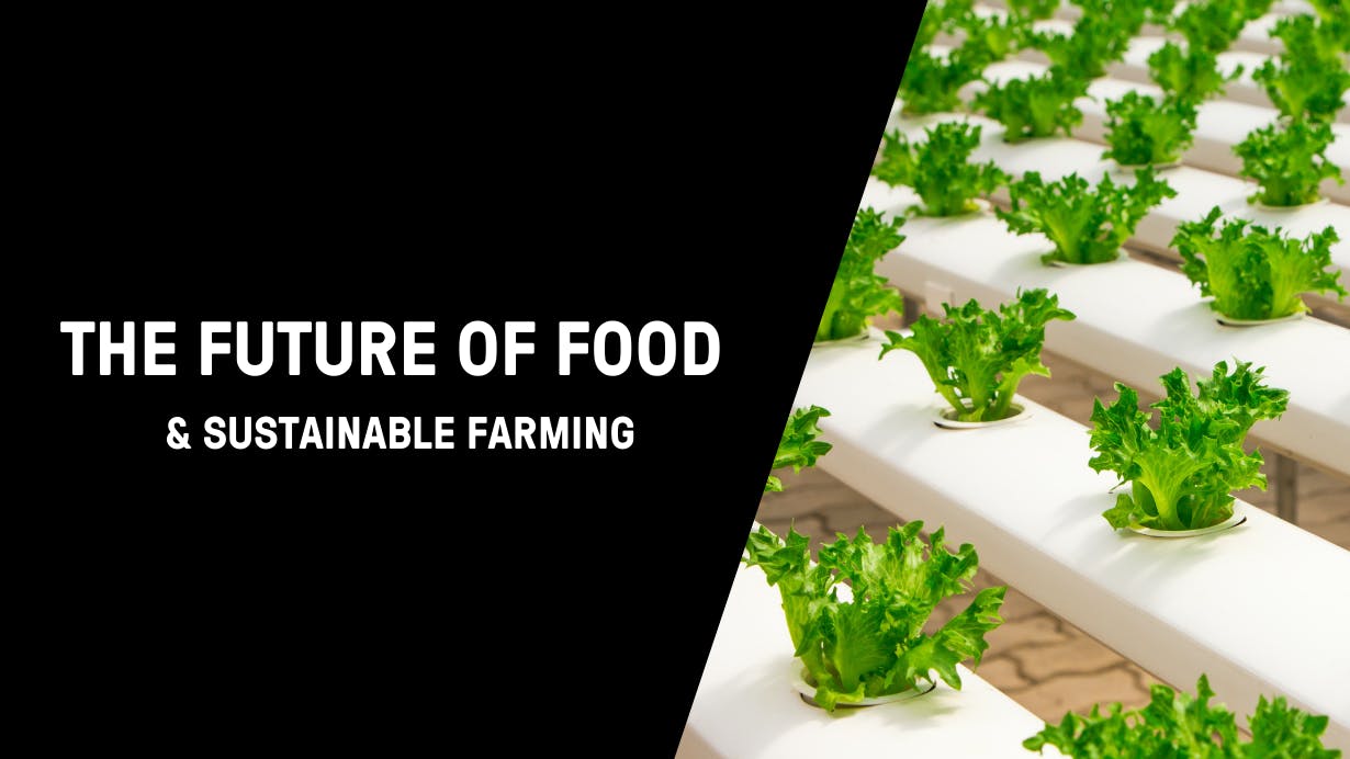 The Future of Food & Sustainable Farming